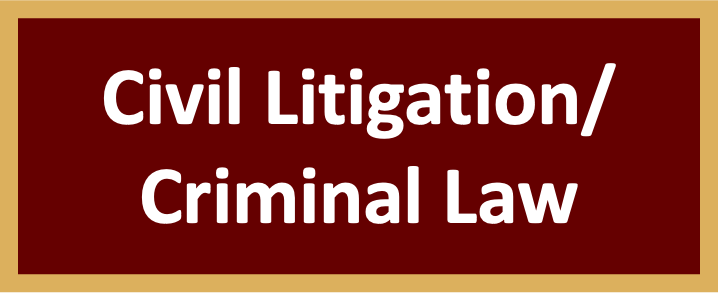 Civil Litigation/ Criminal Law